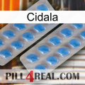 Cidala 23